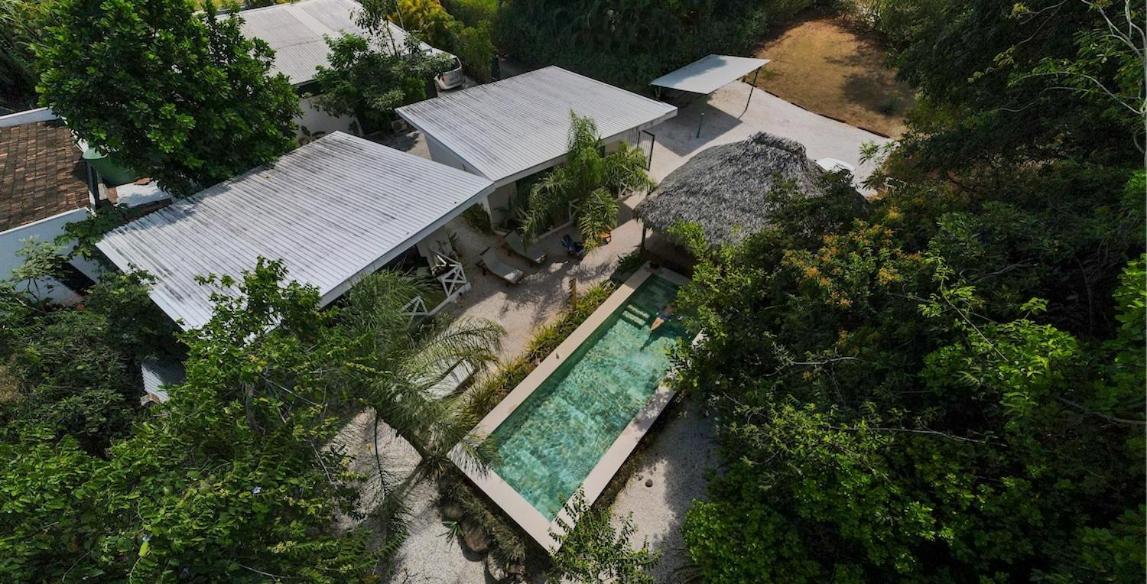 Antema Lodge Secteur Tamarindo, Piscine, Yoga, Gym, Jungle Et Paix Екстер'єр фото