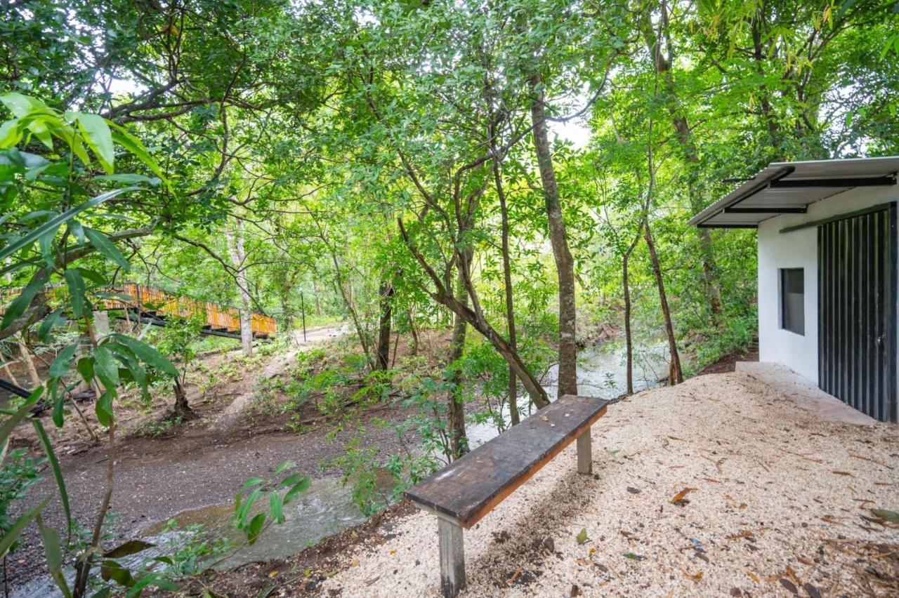 Antema Lodge Secteur Tamarindo, Piscine, Yoga, Gym, Jungle Et Paix Екстер'єр фото