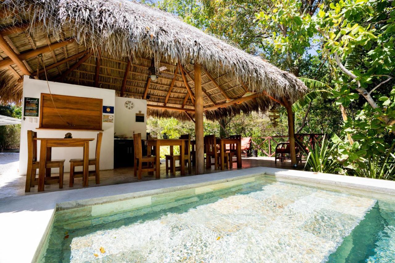 Antema Lodge Secteur Tamarindo, Piscine, Yoga, Gym, Jungle Et Paix Екстер'єр фото