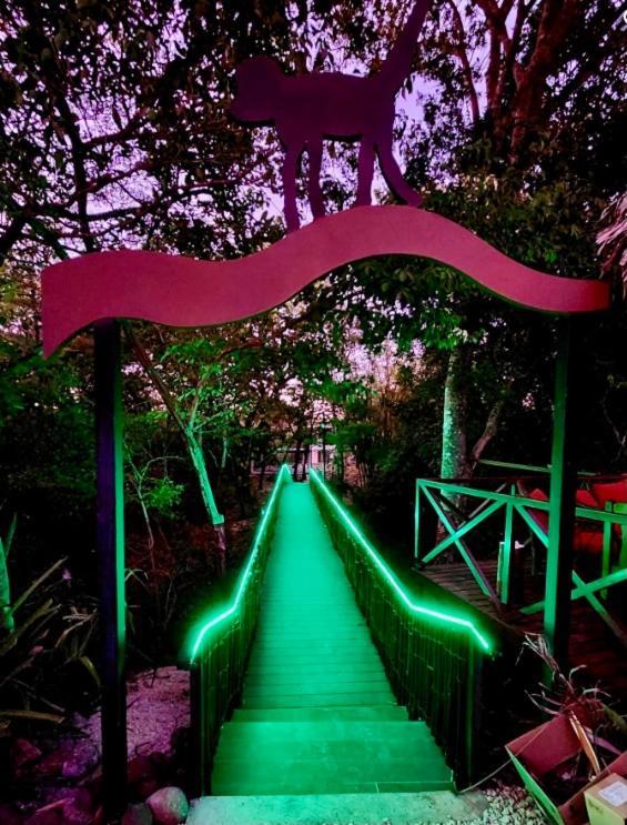 Antema Lodge Secteur Tamarindo, Piscine, Yoga, Gym, Jungle Et Paix Екстер'єр фото
