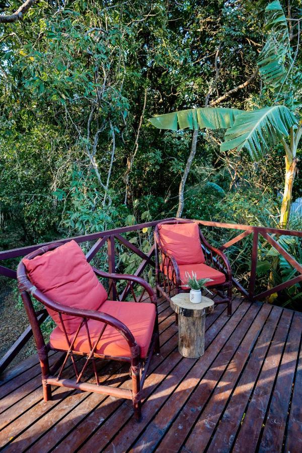 Antema Lodge Secteur Tamarindo, Piscine, Yoga, Gym, Jungle Et Paix Екстер'єр фото