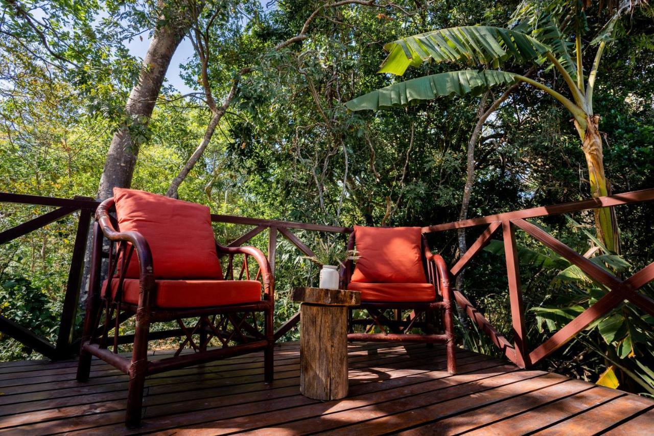 Antema Lodge Secteur Tamarindo, Piscine, Yoga, Gym, Jungle Et Paix Екстер'єр фото